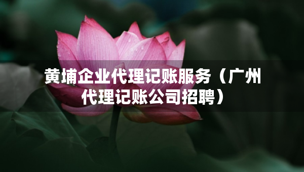 黄埔企业代理记账服务（广州代理记账公司招聘）