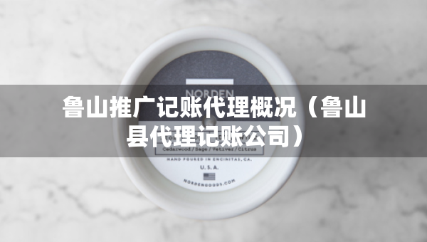 鲁山推广记账代理概况（鲁山县代理记账公司）