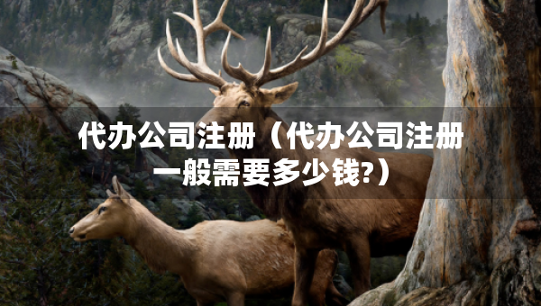 代办公司注册（代办公司注册一般需要多少钱?）