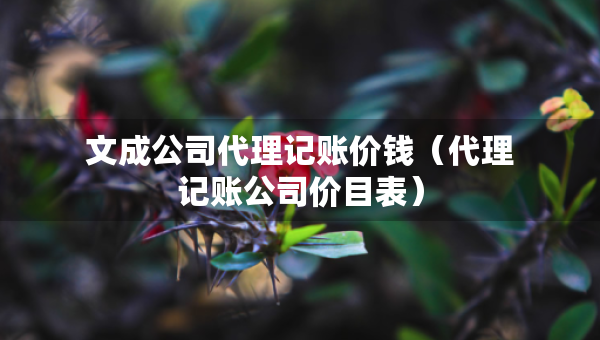 文成公司代理记账价钱（代理记账公司价目表）