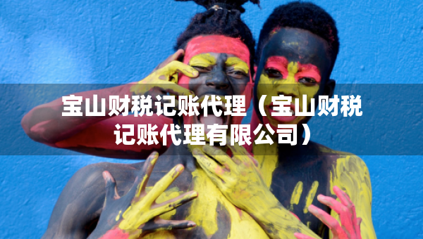 宝山财税记账代理（宝山财税记账代理有限公司）
