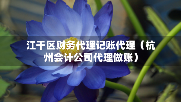 江干区财务代理记账代理（杭州会计公司代理做账）