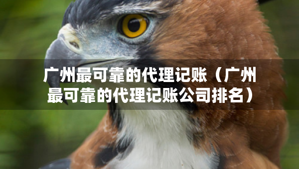 广州最可靠的代理记账（广州最可靠的代理记账公司排名）