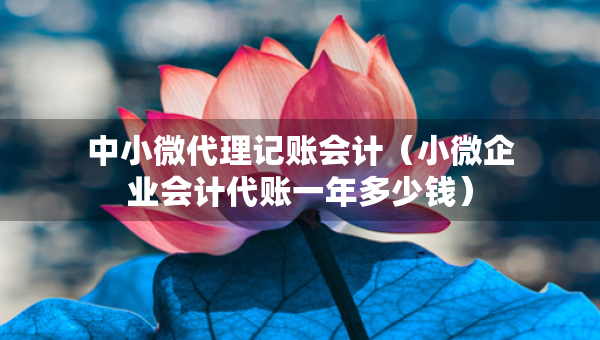 中小微代理记账会计（小微企业会计代账一年多少钱）