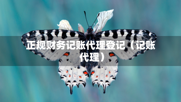 正规财务记账代理登记（记账 代理）