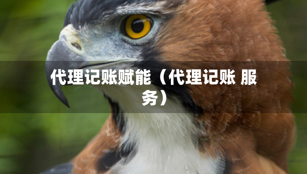代理记账赋能（代理记账 服务）