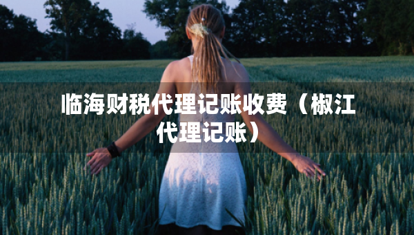 临海财税代理记账收费（椒江代理记账）