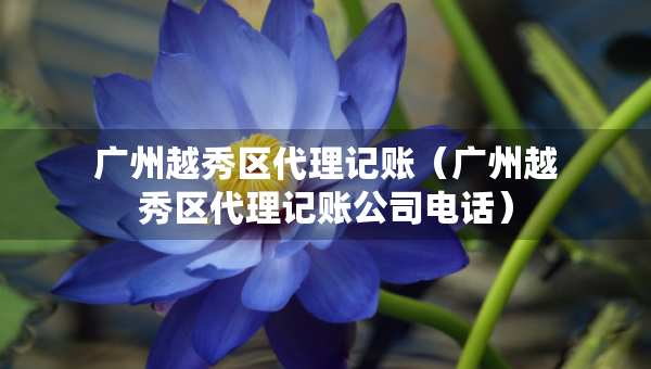 广州越秀区代理记账（广州越秀区代理记账公司电话）