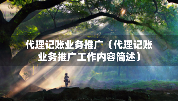 代理记账业务推广（代理记账业务推广工作内容简述）