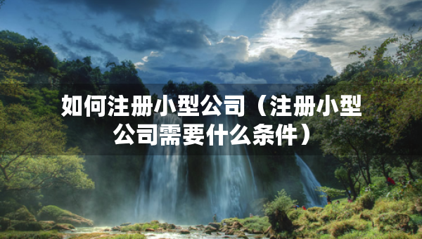 如何注册小型公司（注册小型公司需要什么条件）