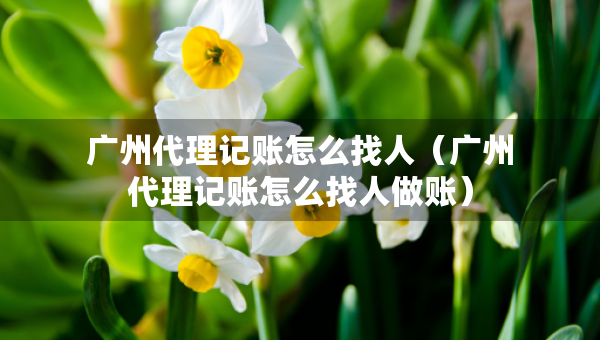 广州代理记账怎么找人（广州代理记账怎么找人做账）