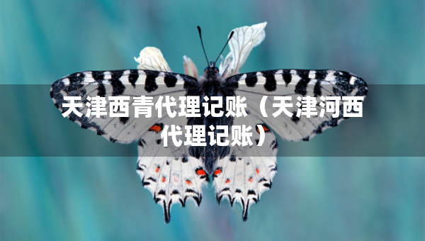 天津西青代理记账（天津河西代理记账）