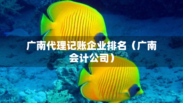 广南代理记账企业排名（广南会计公司）