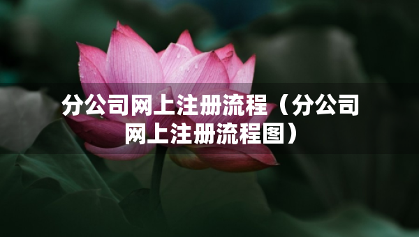 分公司网上注册流程（分公司网上注册流程图）