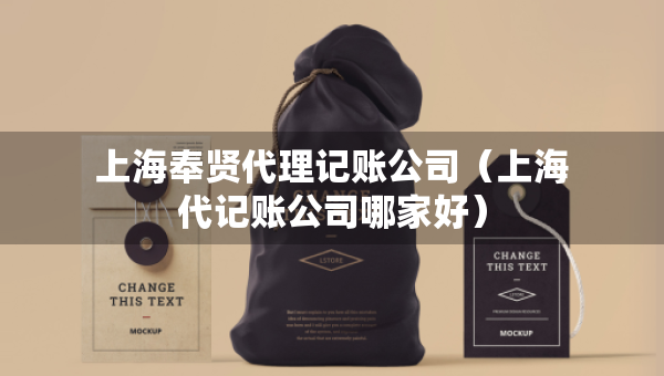 上海奉贤代理记账公司（上海代记账公司哪家好）