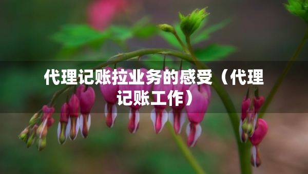 代理记账拉业务的感受（代理记账工作）