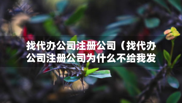 找代办公司注册公司（找代办公司注册公司为什么不给我发票专用章）