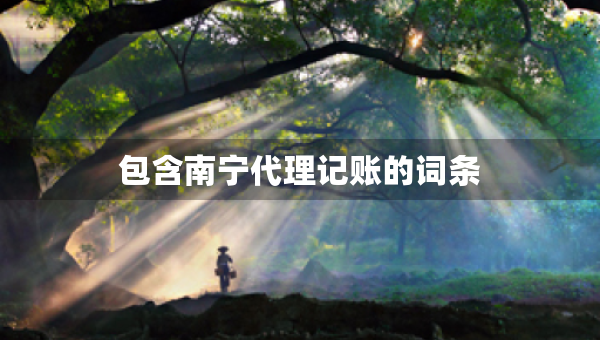 包含南宁代理记账的词条