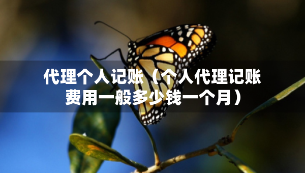 代理个人记账（个人代理记账费用一般多少钱一个月）