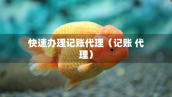 快速办理记账代理（记账 代理）