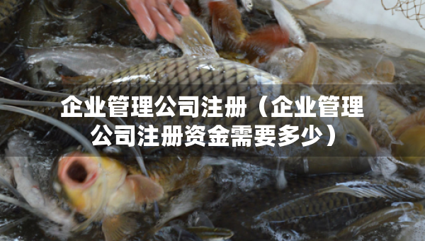 企业管理公司注册（企业管理公司注册资金需要多少）