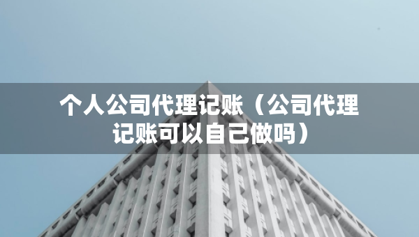 个人公司代理记账（公司代理记账可以自己做吗）