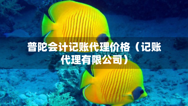 普陀会计记账代理价格(记账代理有限公司) 普陀会计记账代理价格(记账代理有限公司)