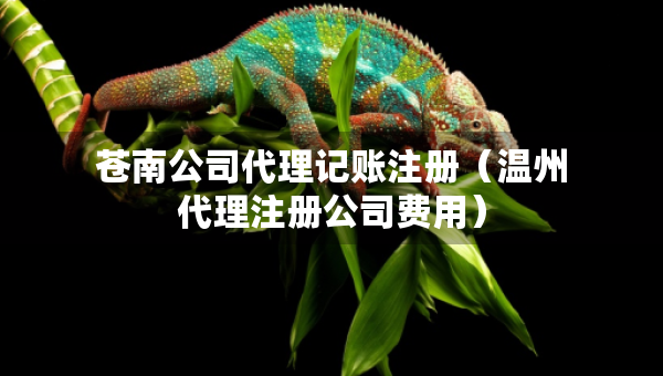 苍南公司代理记账注册（温州代理注册公司费用）