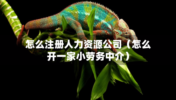 怎么注册人力资源公司（怎么开一家小劳务中介）