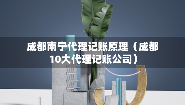 成都南宁代理记账原理（成都10大代理记账公司）