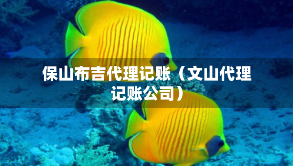 保山布吉代理记账（文山代理记账公司）