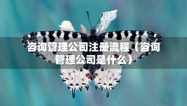 咨询管理公司注册流程（咨询管理公司是什么）