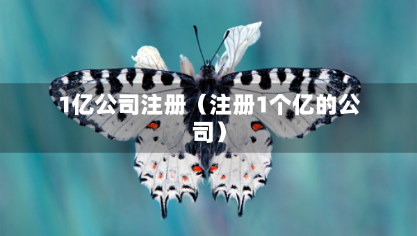 1亿公司注册（注册1个亿的公司）