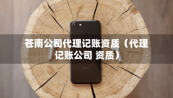苍南公司代理记账资质（代理记账公司 资质）