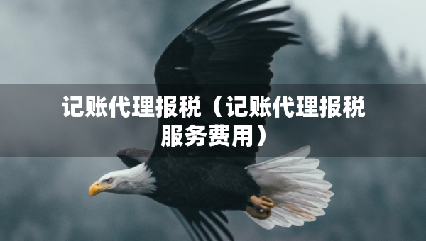 记账代理报税（记账代理报税服务费用）