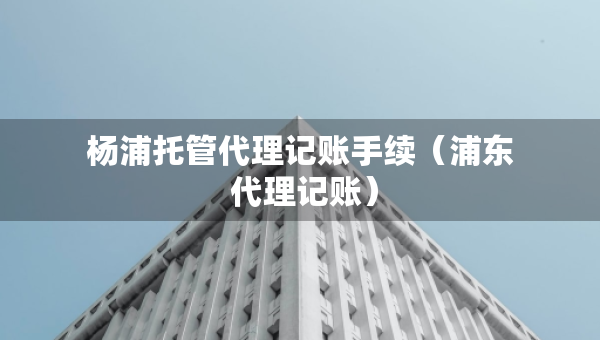 杨浦托管代理记账手续（浦东 代理记账）