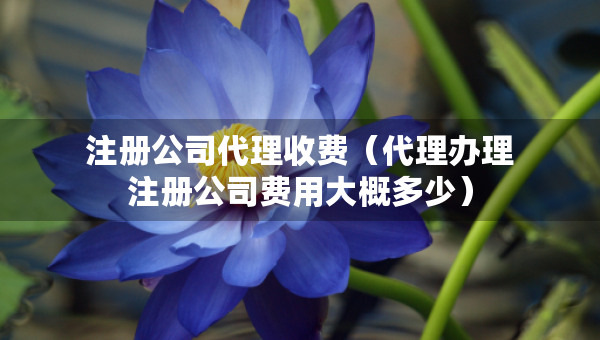 注册公司代理收费（代理办理注册公司费用大概多少）