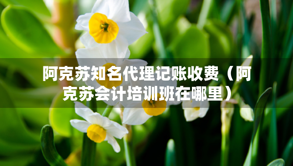 阿克苏知名代理记账收费（阿克苏会计培训班在哪里）