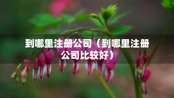 到哪里注册公司（到哪里注册公司比较好）
