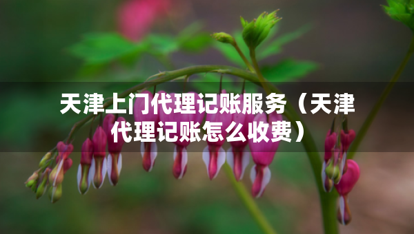 天津上门代理记账服务（天津代理记账怎么收费）