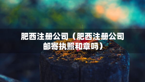 肥西注册公司（肥西注册公司邮寄执照和章吗）