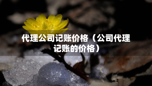 代理公司记账价格（公司代理记账的价格）