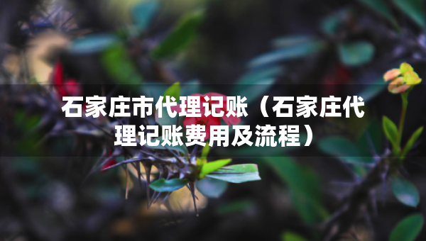 石家庄市代理记账（石家庄代理记账费用及流程）