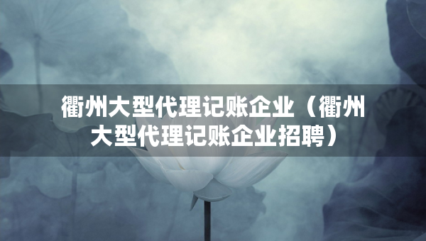 衢州大型代理记账企业（衢州大型代理记账企业招聘）