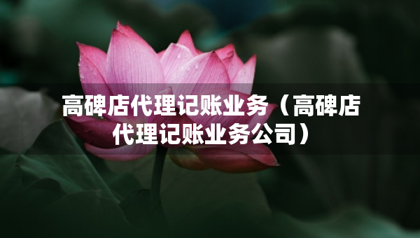 高碑店代理记账业务（高碑店代理记账业务公司）