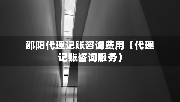 邵阳代理记账咨询费用（代理记账咨询服务）