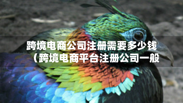 跨境电商公司注册需要多少钱（跨境电商平台注册公司一般会叫什么）