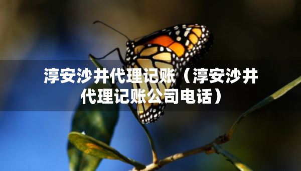 淳安沙井代理记账（淳安沙井代理记账公司电话）