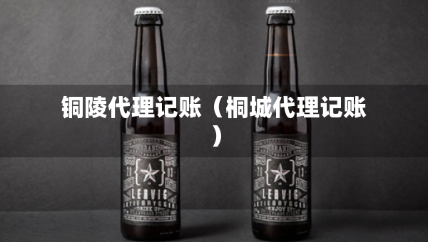 铜陵代理记账（桐城代理记账）