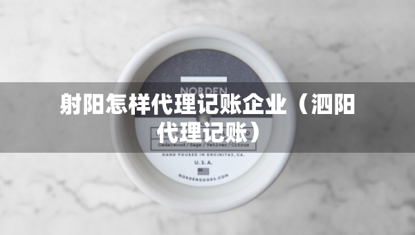 射阳怎样代理记账企业（泗阳代理记账）